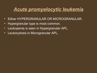 Acute promyelocytic leukemia 
• Either HYPERGRANULAR OR MICROGRANULAR. 
• Hypergranular type is most common. 
• Leukopenia is seen in Hypergranular APL. 
• Leukocytosis in Microgranular APL. 
 
