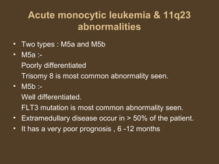 Acute monocytic leukemia & 11q23 
abnormalities 
• Two types : M5a and M5b 
• M5a :- 
Poorly differentiated 
Trisomy 8 is most common abnormality seen. 
• M5b :- 
Well differentiated. 
FLT3 mutation is most common abnormality seen. 
• Extramedullary disease occur in > 50% of the patient. 
• It has a very poor prognosis , 6 -12 months 
 