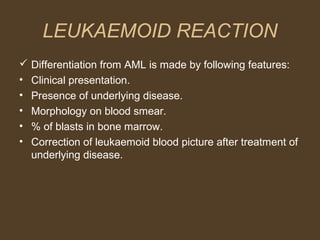 LEUKAEMOID REACTION 
 Differentiation from AML is made by following features: 
• Clinical presentation. 
• Presence of underlying disease. 
• Morphology on blood smear. 
• % of blasts in bone marrow. 
• Correction of leukaemoid blood picture after treatment of 
underlying disease. 
 