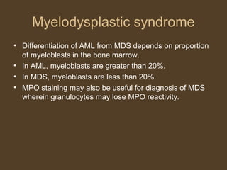 Myelodysplastic syndrome 
• Differentiation of AML from MDS depends on proportion 
of myeloblasts in the bone marrow. 
• In AML, myeloblasts are greater than 20%. 
• In MDS, myeloblasts are less than 20%. 
• MPO staining may also be useful for diagnosis of MDS 
wherein granulocytes may lose MPO reactivity. 
 