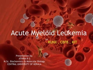 Acute Myeloid Leukemia
- RUNX , CBFB , KIT
Presentation by,
ATHIRA R G
M.Sc. Biochemistry & Molecular Biology
CENTRAL UNIVERSITY OF KERALA
 
