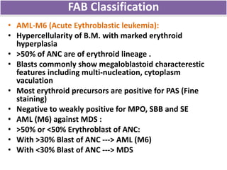 Acute Myeloid Leukemia | PPTX