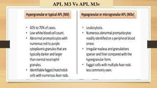 ACUTE MYELOID LEUKEMIA PPT .presentstion | PPTX