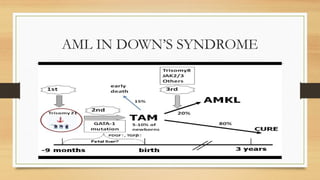 ACUTE MYELOID LEUKEMIA PPT .presentstion | PPTX