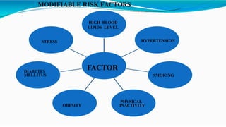 MODIFIABLE RISK FACTORS
FACTOR
HIGH BLOOD
LIPIDS LEVEL
HYPERTENSION
SMOKING
PHYSICAL
INACTIVITY
OBESITY
DIABETES
MELLITUS
STRESS
 