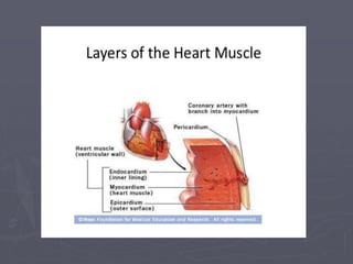 Acute myocarditis - Dr.vikash kumar, BSMU | PPT