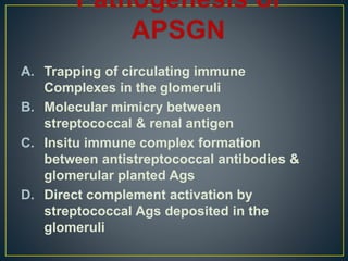 A. Trapping of circulating immune
Complexes in the glomeruli
B. Molecular mimicry between
streptococcal & renal antigen
C. Insitu immune complex formation
between antistreptococcal antibodies &
glomerular planted Ags
D. Direct complement activation by
streptococcal Ags deposited in the
glomeruli
 