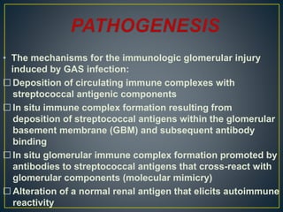 • The mechanisms for the immunologic glomerular injury
induced by GAS infection:
 Deposition of circulating immune complexes with
streptococcal antigenic components
 In situ immune complex formation resulting from
deposition of streptococcal antigens within the glomerular
basement membrane (GBM) and subsequent antibody
binding
 In situ glomerular immune complex formation promoted by
antibodies to streptococcal antigens that cross-react with
glomerular components (molecular mimicry)
 Alteration of a normal renal antigen that elicits autoimmune
reactivity
 