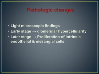 • Light microscopic findings
• Early stage → glomerular hypercellularity
• Later stage → Proliferation of intrinsic
endothelial & mesangial cells
 
