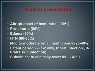 • Abrupt onset of hemutaria (100%)
• Proteinuria (80%)
• Edema (90%)
• HTN (60-80%)
• Mild to moderate renal insufficiency (25-40%)
• Latent period → (1-2 wks, throat infection , 3-
6 wks skin infection)
• Subclinical to clinically overt dx → 4-5:1
 