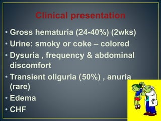 • Gross hematuria (24-40%) (2wks)
• Urine: smoky or coke – colored
• Dysuria , frequency & abdominal
discomfort
• Transient oliguria (50%) , anuria
(rare)
• Edema
• CHF
 