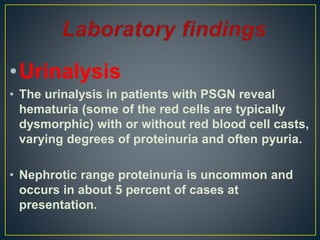 •Urinalysis
• The urinalysis in patients with PSGN reveal
hematuria (some of the red cells are typically
dysmorphic) with or without red blood cell casts,
varying degrees of proteinuria and often pyuria.
• Nephrotic range proteinuria is uncommon and
occurs in about 5 percent of cases at
presentation.
 
