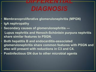 • Membranoproliferative glomerulonephritis (MPGN)
• IgA nephropathy
• Secondary causes of glomerulonephritis —
Lupus nephritis and Henoch-Schönlein purpura nephritis
share similar features to PSGN.
• Both hepatitis B and endocarditis-associated
glomerulonephritis share common features with PSGN and
also will present with reductions in C3 and C4.
• Postinfectious GN due to other microbial agents
 
