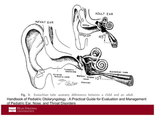 Handbook of Pediatric Otolaryngology : A Practical Guide for Evaluation and Management
of Pediatric Ear, Nose, and Throat Disorders
 