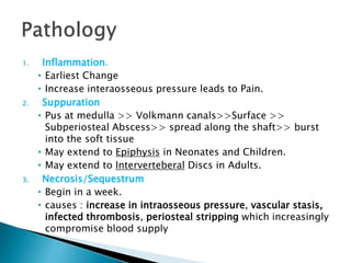 1. Inflammation.
• Earliest Change
• Increase interaosseous pressure leads to Pain.
2. Suppuration
• Pus at medulla >> Volkmann canals>>Surface >>
Subperiosteal Abscess>> spread along the shaft>> burst
into the soft tissue
• May extend to Epiphysis in Neonates and Children.
• May extend to Interverteberal Discs in Adults.
3. Necrosis/Sequestrum
• Begin in a week.
• causes : increase in intraosseous pressure, vascular stasis,
infected thrombosis, periosteal stripping which increasingly
compromise blood supply
 