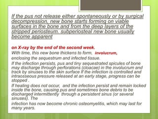 If the pus not release either spontaneously or by surgical
decompression, new bone starts forming on viable
surfaces in the bone and from the deep layers of the
stripped periosteum. subperiosteal new bone usually
become apparent
on X-ray by the end of the second week.
With time, this new bone thickens to form, involucrum,
enclosing the sequestrum and infected tissue.
If the infection persists, pus and tiny sequestrated spicules of bone
may discharge through perforations (cloacae) in the involucrum and
track by sinuses to the skin surface If the infection is controlled and
intraosseous pressure released at an early stage, progress can be
stopped .
If healing does not occur, and the infection persist and remain locked
inside the bone, causing pus and sometimes bone debris to be
discharged intermittently through a persistent sinus (or several
sinuses). The
infection has now become chronic osteomyelitis, which may last for
many years.
 