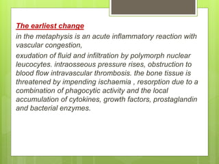 The earliest change
in the metaphysis is an acute inflammatory reaction with
vascular congestion,
exudation of fluid and infiltration by polymorph nuclear
leucocytes. intraosseous pressure rises, obstruction to
blood flow intravascular thrombosis. the bone tissue is
threatened by impending ischaemia , resorption due to a
combination of phagocytic activity and the local
accumulation of cytokines, growth factors, prostaglandin
and bacterial enzymes.
 
