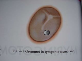 9/6/2014 AOM:IOMJuly2010 14 
 