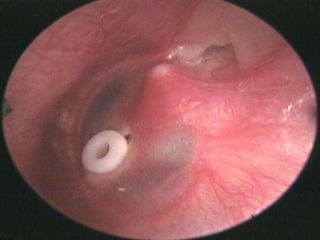 9/6/2014 AOM:IOMJuly2010 15 
 