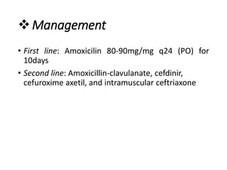 Management
• First line: Amoxicilin 80-90mg/mg q24 (PO) for
10days
• Second line: Amoxicillin-clavulanate, cefdinir,
cefuroxime axetil, and intramuscular ceftriaxone