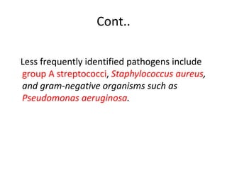 Cont..
Less frequently identified pathogens include
group A streptococci, Staphylococcus aureus,
and gram-negative organisms such as
Pseudomonas aeruginosa.
 