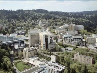 Acute otitis media and mastoiditis