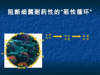 阻断细菌耐药性的“恶性循环”
感染
耐药性
增加
传播
选择
耐药菌
细菌
未消除
不合理
治疗
合 理
治 疗
临 床
治 愈
细 菌
消 除
 