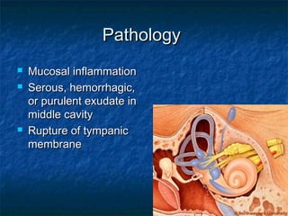 PathologyPathology
 Mucosal inflammationMucosal inflammation
 Serous, hemorrhagic,Serous, hemorrhagic,
or purulent exudate inor purulent exudate in
middle cavitymiddle cavity
 Rupture of tympanicRupture of tympanic
membranemembrane
 