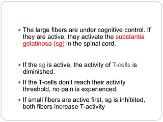  The large fibers are under cognitive control. If
they are active, they activate the substantia
gelatinosa (sg) in the spinal cord.
 If the sg is active, the activity of T-cells is
diminished.
 If the T-cells don’t reach their activity
threshold, no pain is experienced.
 If small fibers are active first, sg is inhibited,
both fibers increase T-activity
 