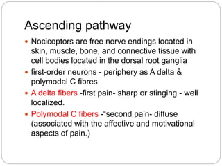 Ascending pathway
 Nociceptors are free nerve endings located in
skin, muscle, bone, and connective tissue with
cell bodies located in the dorsal root ganglia
 first-order neurons - periphery as A delta &
polymodal C fibres
 A delta fibers -first pain- sharp or stinging - well
localized.
 Polymodal C fibers -“second pain- diffuse
(associated with the affective and motivational
aspects of pain.)
 