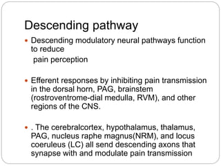 Descending pathway
 Descending modulatory neural pathways function
to reduce
pain perception
 Efferent responses by inhibiting pain transmission
in the dorsal horn, PAG, brainstem
(rostroventrome-dial medulla, RVM), and other
regions of the CNS.
 . The cerebralcortex, hypothalamus, thalamus,
PAG, nucleus raphe magnus(NRM), and locus
coeruleus (LC) all send descending axons that
synapse with and modulate pain transmission
 