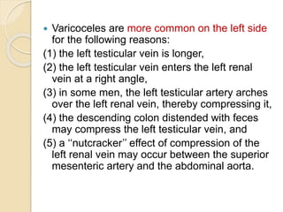  Varicoceles are more common on the left side
for the following reasons:
(1) the left testicular vein is longer,
(2) the left testicular vein enters the left renal
vein at a right angle,
(3) in some men, the left testicular artery arches
over the left renal vein, thereby compressing it,
(4) the descending colon distended with feces
may compress the left testicular vein, and
(5) a ‘‘nutcracker’’ effect of compression of the
left renal vein may occur between the superior
mesenteric artery and the abdominal aorta.
 