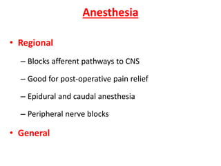 Anesthesia
• Regional
– Blocks afferent pathways to CNS
– Good for post-operative pain relief
– Epidural and caudal anesthesia
– Peripheral nerve blocks
• General
 