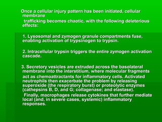 Once a cellular injury pattern has been initiated, cellularOnce a cellular injury pattern has been initiated, cellular
membranemembrane
trafficking becomes chaotic, with the following deleterioustrafficking becomes chaotic, with the following deleterious
effects:effects:
1. Lysosomal and zymogen granule compartments fuse,1. Lysosomal and zymogen granule compartments fuse,
enabling activation of trypsinogen to trypsin.enabling activation of trypsinogen to trypsin.
2. Intracellular trypsin triggers the entire zymogen activation2. Intracellular trypsin triggers the entire zymogen activation
cascade.cascade.
3. Secretory vesicles are extruded across the basolateral3. Secretory vesicles are extruded across the basolateral
membrane into the interstitium, where molecular fragmentsmembrane into the interstitium, where molecular fragments
act as chemoattractants for inflammatory cells. Activatedact as chemoattractants for inflammatory cells. Activated
neutrophils then exacerbate the problem by releasingneutrophils then exacerbate the problem by releasing
superoxide (the respiratory burst) or proteolytic enzymessuperoxide (the respiratory burst) or proteolytic enzymes
(cathepsins B, D, and G; collagenase; and elastase).(cathepsins B, D, and G; collagenase; and elastase).
Finally, macrophages release cytokines that further mediateFinally, macrophages release cytokines that further mediate
local (and, in severe cases, systemic) inflammatorylocal (and, in severe cases, systemic) inflammatory
responses.responses.
 