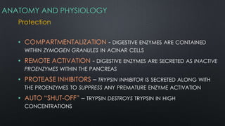 ANATOMY AND PHYSIOLOGY
Protection
• COMPARTMENTALIZATION - DIGESTIVE ENZYMES ARE CONTAINED
WITHIN ZYMOGEN GRANULES IN ACINAR CELLS
• REMOTE ACTIVATION - DIGESTIVE ENZYMES ARE SECRETED AS INACTIVE
PROENZYMES WITHIN THE PANCREAS
• PROTEASE INHIBITORS – TRYPSIN INHIBITOR IS SECRETED ALONG WITH
THE PROENZYMES TO SUPPRESS ANY PREMATURE ENZYME ACTIVATION
• AUTO “SHUT-OFF” – TRYPSIN DESTROYS TRYPSIN IN HIGH
CONCENTRATIONS
 