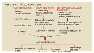 Pathogenesis of acute pancreatitis
Interstitial oedema
Impaired blood flow
Ischaemia
Acinar cell injury
Interstitial inflammation
oedema
Gallstone
Chronic alcoholism
Release of intracellular
proenzymes and
lysosomal hydrolases
Activation of enzymes
ACTIVATED ENZYMES
Delivery of proenzymes to
lysosomal compartment
Intracellular activation of
enzymes
Proteolysis
(proteases)
Fat necrosis
(lipase, phospholipase)
Haemorrhage
(elastase)
Alcohol, drugs
trauma, ischaemia,
viruses
Metabolic injury
(experimental)
Alcohol, duct obstruction
DUCT OBSTRUCTION ACINAR CELL INJURY DEFECTIVE INTRACELLULAR
TRANSPORT
 