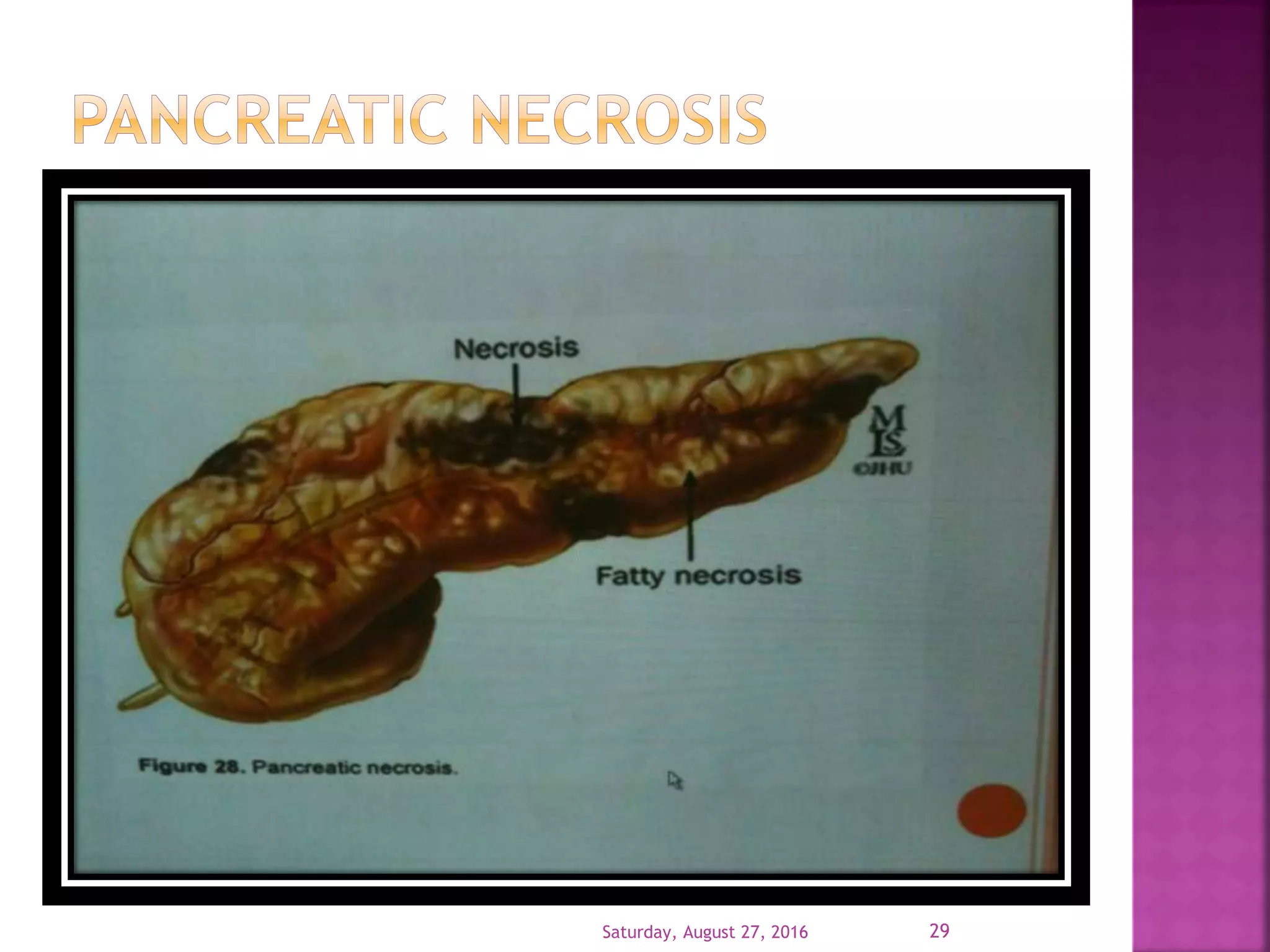 Saturday, August 27, 2016 29
 