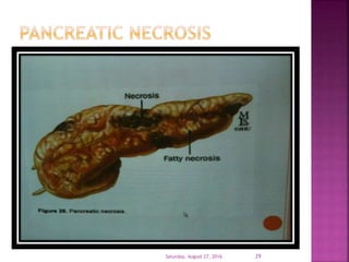 Saturday, August 27, 2016 29
 