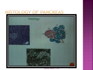 Saturday, August 27, 2016 5
 