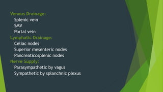 Venous Drainage:
Splenic vein
SMV
Portal vein
Lymphatic Drainage:
Celiac nodes
Superior mesenteric nodes
Pancreaticosplenic nodes
Nerve Supply:
Parasympathetic by vagus
Sympathetic by splanchnic plexus
 