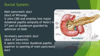 Ductal System:
Main pancreatic duct
(duct of Wirsung)
it joins CBD and empties into major
duodenal papilla (ampulla of Vater) in
2nd part of duodenum guarded by
sphincter of Oddi
Accessory pancreatic duct
(duct of Santorini)
It opens into minor duodenal papilla
superior to opening of main pancreatic
duct
 