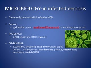MICROBIOLOGY-in infected necrosis
• Commonly polymicrobial infection-60%
• Source:
– gall bladder, colon, small bowel(Transmural) or hematogenous spread
• INCIDENCE:
– 24%(1 week) and 70 %( 3 weeks)
• ORGANISMS:
– E.Coli(35%), klebsiella( 25%), Enterococcus (25%)
– Others….. Staphlyococci, pseudomonas, proteus, enterobacter,
anaerobes, candida(10%)
 