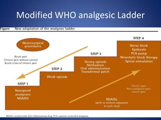 Modified WHO analgesic Ladder
 