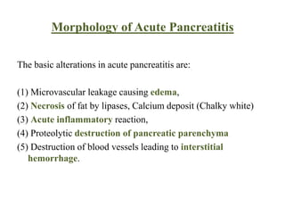 Morphology of Acute Pancreatitis
The basic alterations in acute pancreatitis are:
(1) Microvascular leakage causing edema,
(2) Necrosis of fat by lipases, Calcium deposit (Chalky white)
(3) Acute inflammatory reaction,
(4) Proteolytic destruction of pancreatic parenchyma
(5) Destruction of blood vessels leading to interstitial
hemorrhage.
 