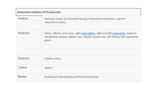 Anatomical relations of the pancreas
Anterior Stomach, lesser sac (omental bursa), transverse mesocolon, superior
mesenteric artery
Posterior Aorta, inferior vena cava, right renal artery, right and left renal veins, superior
mesenteric vessels, splenic vein, hepatic portal vein, left kidney, left suprarenal
gland
Superior Splenic artery
Lateral Spleen
Medial Duodenum (descending and horizontal parts)
 