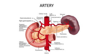 ARTERY
 