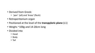 • Derived from Greek:
• ‘pan’ (all) and ‘kreas’ (flesh)
• Retroperitonium organ
• Positioned at the level of the transpyloric plane (L1)
• Weighs ~100g and 14-20cm long
• Divided into
• Head
• Body
• Tail
 