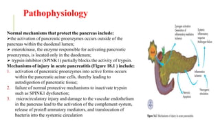 Pathophysiology
Normal mechanisms that protect the pancreas include:
the activation of pancreatic proenzymes occurs outside of the
pancreas within the duodenal lumen;
 enterokinase, the enzyme responsible for activating pancreatic
proenzymes, is located only in the duodenum;
 trypsin inhibitor (SPINK1) partially blocks the activity of trypsin.
Mechanisms of injury in acute pancreatitis (Figure 18.1 ) include:
1. activation of pancreatic proenzymes into active forms occurs
within the pancreatic acinar cells, thereby leading to
autodigestion of pancreatic tissue;
2. failure of normal protective mechanisms to inactivate trypsin
such as SPINK1 dysfunction;
3. microcirculatory injury and damage to the vascular endothelium
in the pancreas lead to the activation of the complement system,
release of proinfl ammatory mediators, and translocation of
bacteria into the systemic circulation
 