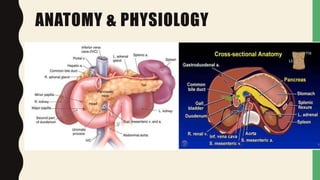 ANATOMY & PHYSIOLOGY
 