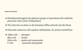 Endocrine Secretions
● Distributed throughout the gland are groups of specialised cells called the
pancreatic islets (islets of langerhans).
● The islets have no ducts so the hormones diffuse directly into the blood.
● Pancreatic endocrine cells regulate carbohydrate, fat, protein metabolism:
● Alpha cells - glucagon
Beta cells - insulin
Delta cells - gastrin and somatostatin
F cells - pancreatic polypeptide
 